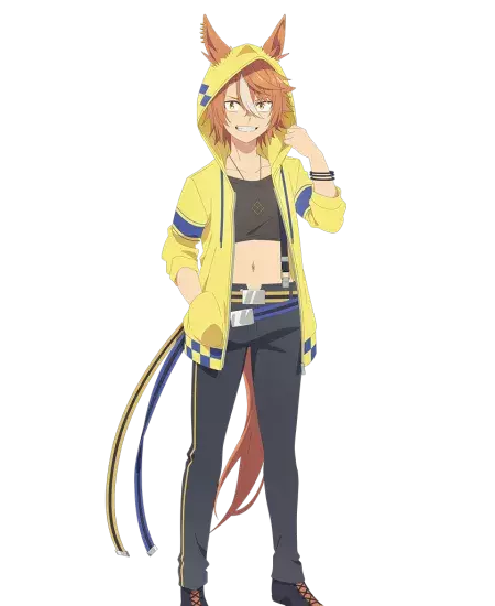 Dicta Striker