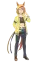 Dicta Striker