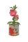 Housenka