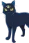Yoru