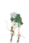 Shui