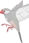 Pii-chan