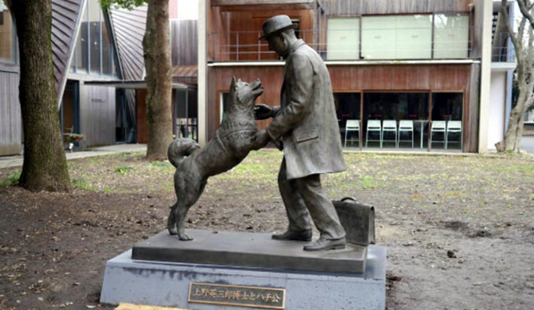 Hachiko el perro más famoso de Japón