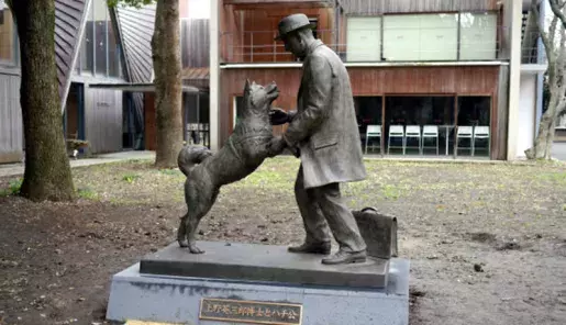 Escultura Hachiko el perro más famoso de Japón