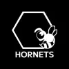 HORNETS